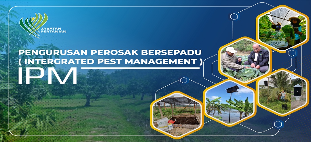Pengurusan Perosak Bersepadu (IPM)